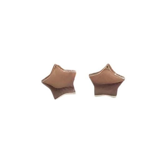 Luxe Star Studs
