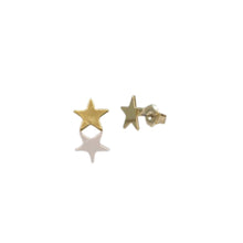 Load image into Gallery viewer, Flat Star Stud Earring